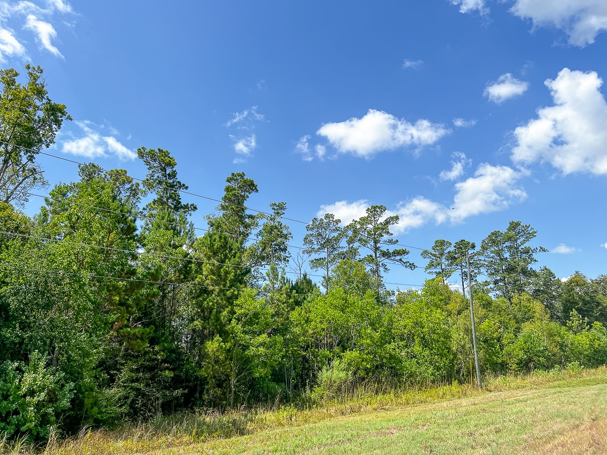 0 Fm 1010 Cleveland, TX 77327 - Photo 16 of 35 a view of a big yard with lots of green space