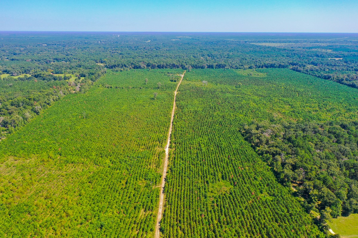 0 Fm 1010 Cleveland, TX 77327 - Photo 2 of 35 a view of a lush green outdoor space with a lake view
