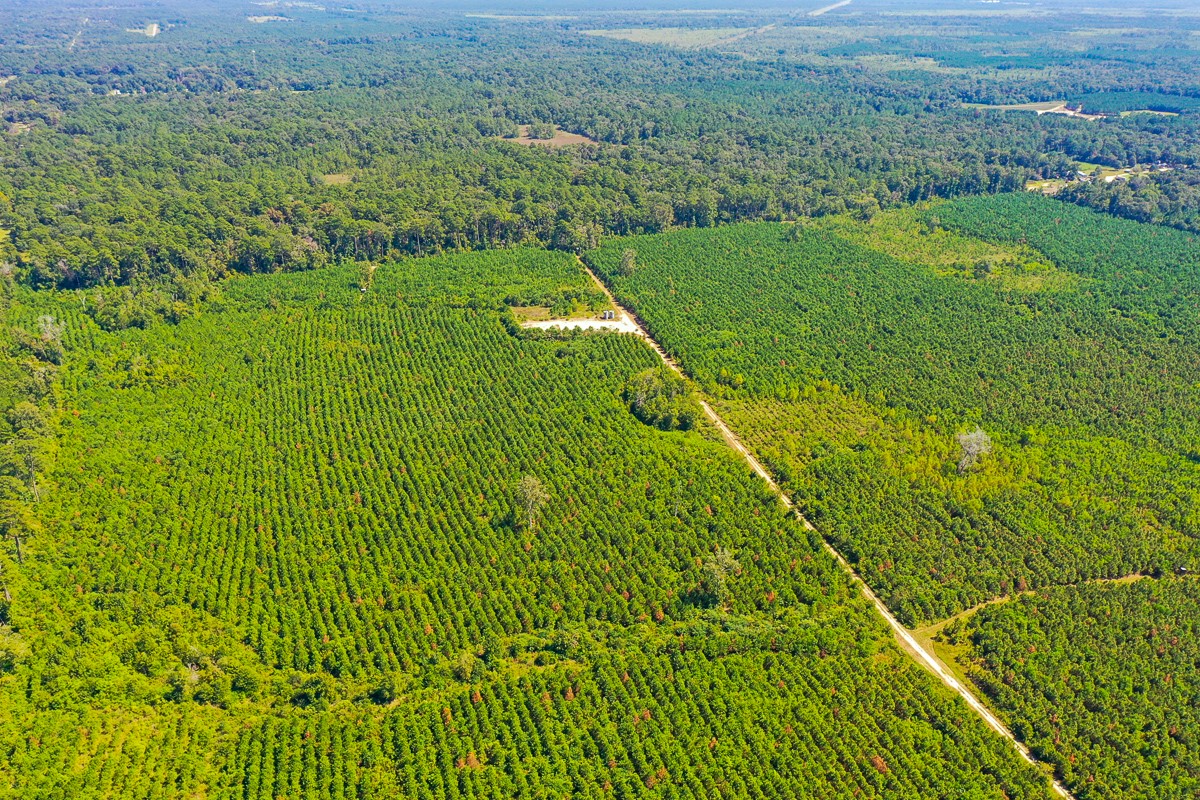 0 Fm 1010 Cleveland, TX 77327 - Photo 22 of 35 a view of a green field with an ocean
