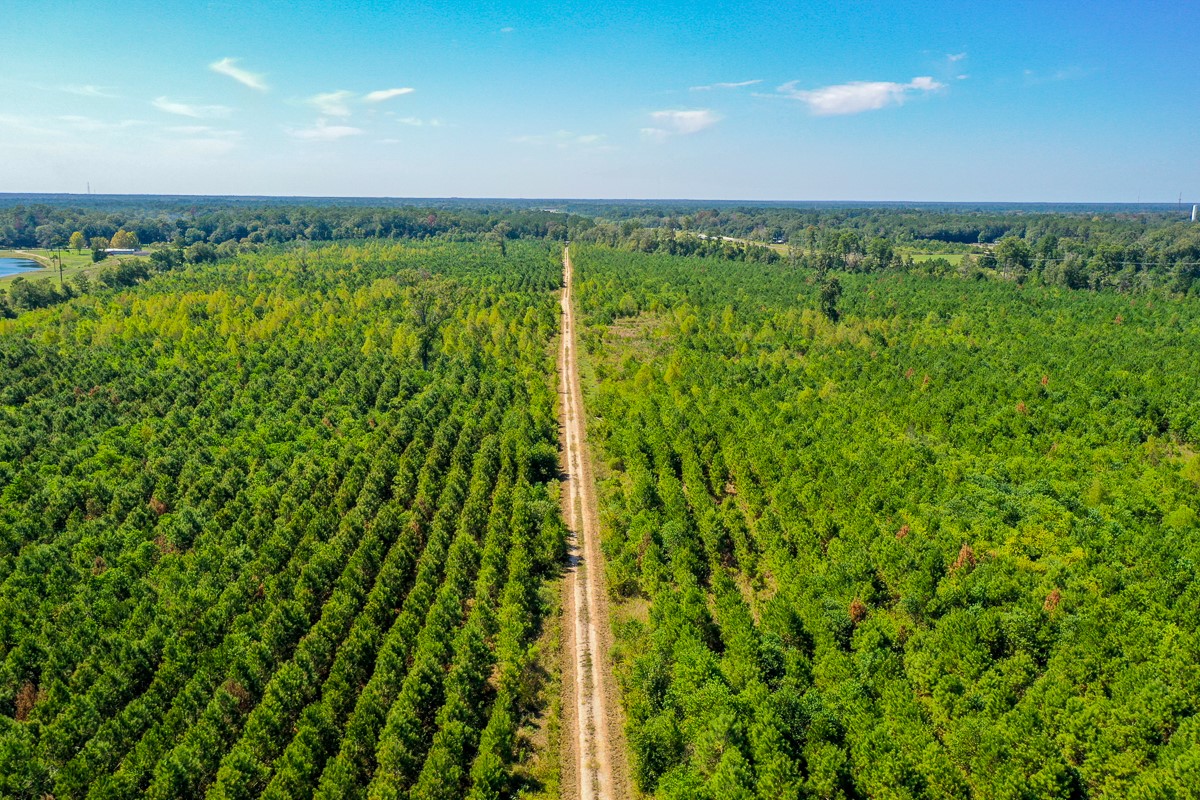 0 Fm 1010 Cleveland, TX 77327 - Photo 23 of 35 a view of an outdoor space with a lake view