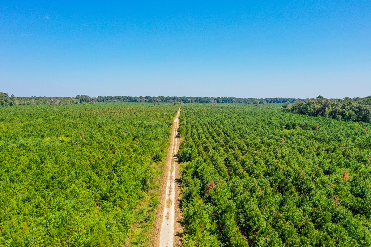 0 Fm 1010 Cleveland, TX 77327 - Photo 25 of 35 a view of a garden with a building in the background