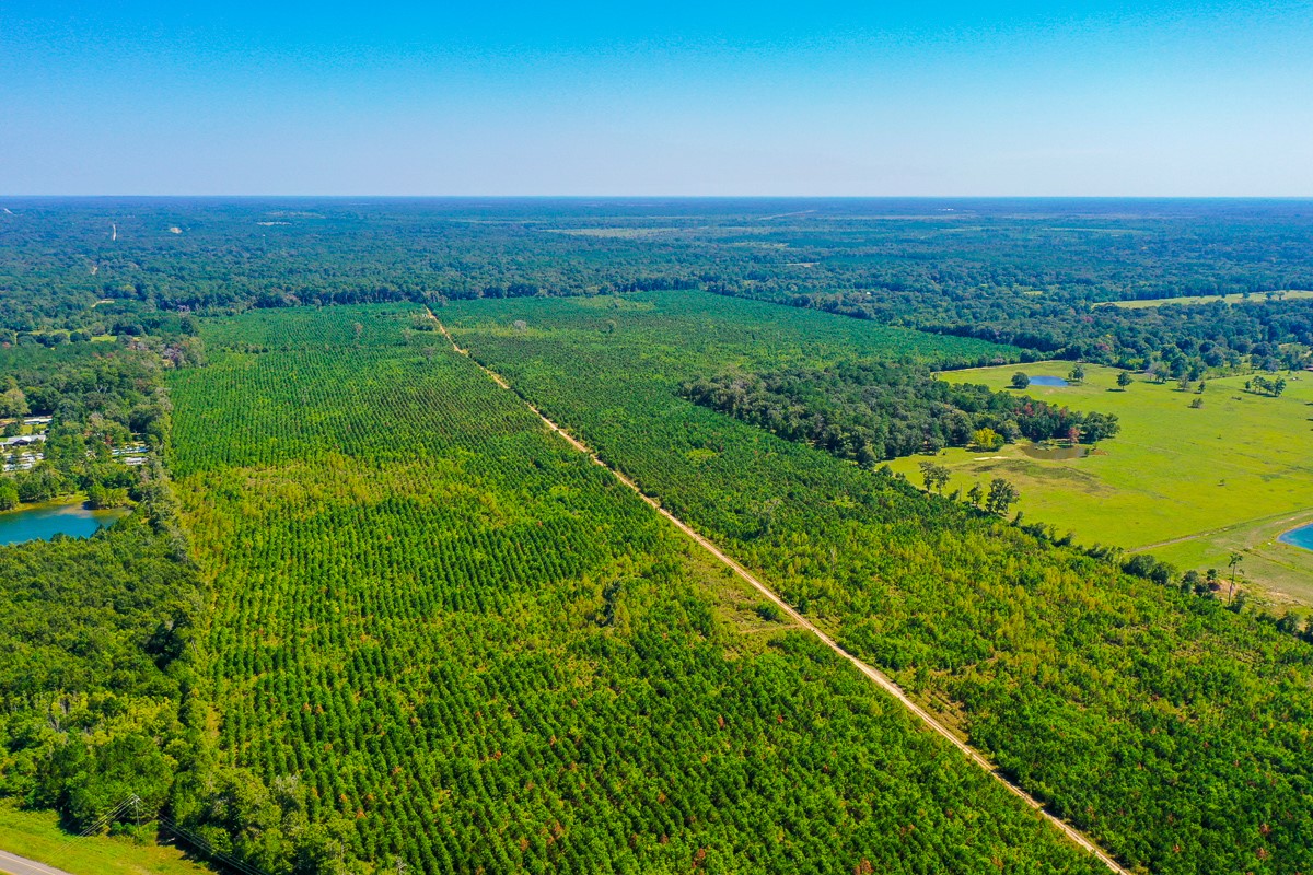 0 Fm 1010 Cleveland, TX 77327 - Photo 28 of 35 a view of a field with an ocean