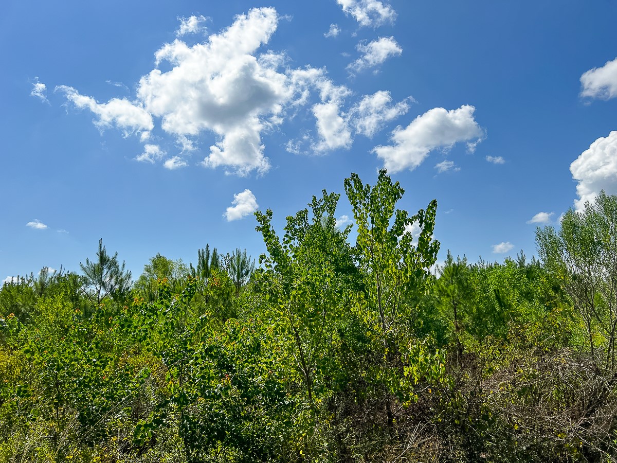 0 Fm 1010 Cleveland, TX 77327 - Photo 34 of 35