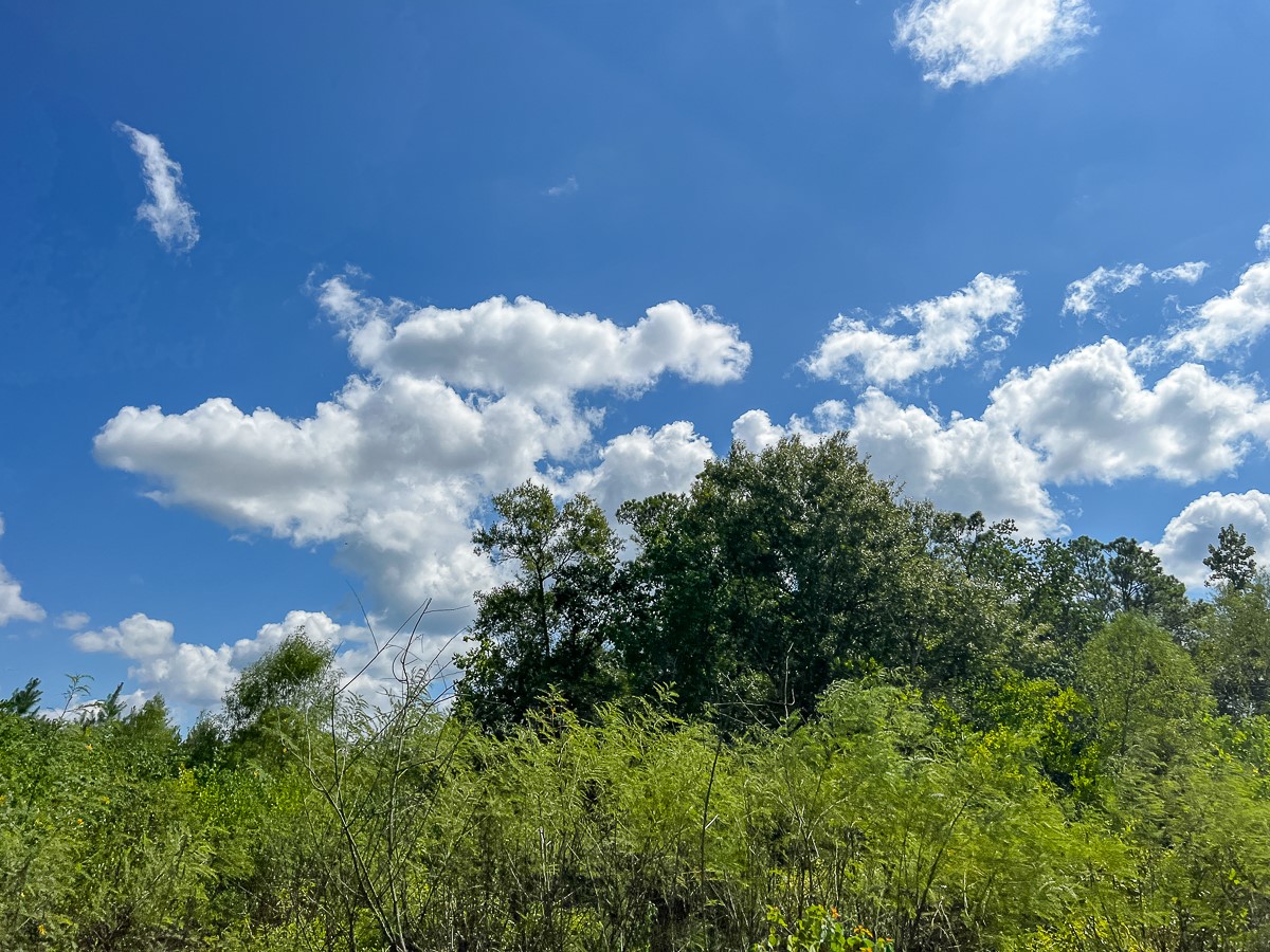 0 Fm 1010 Cleveland, TX 77327 - Photo 5 of 35 a close up of a house