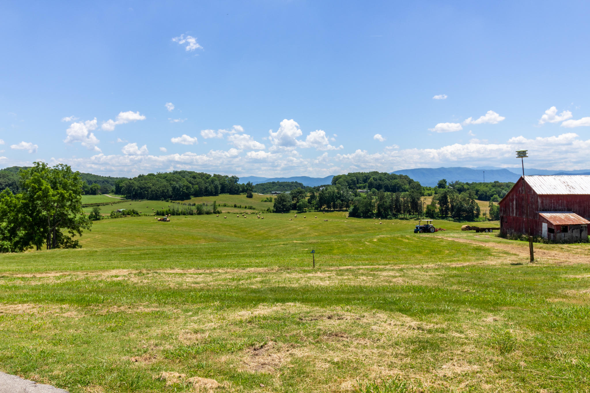Parsonage Road Dandridge, TN 37725 - Photo 5 of 10 BG_AlleyWhitePine-4