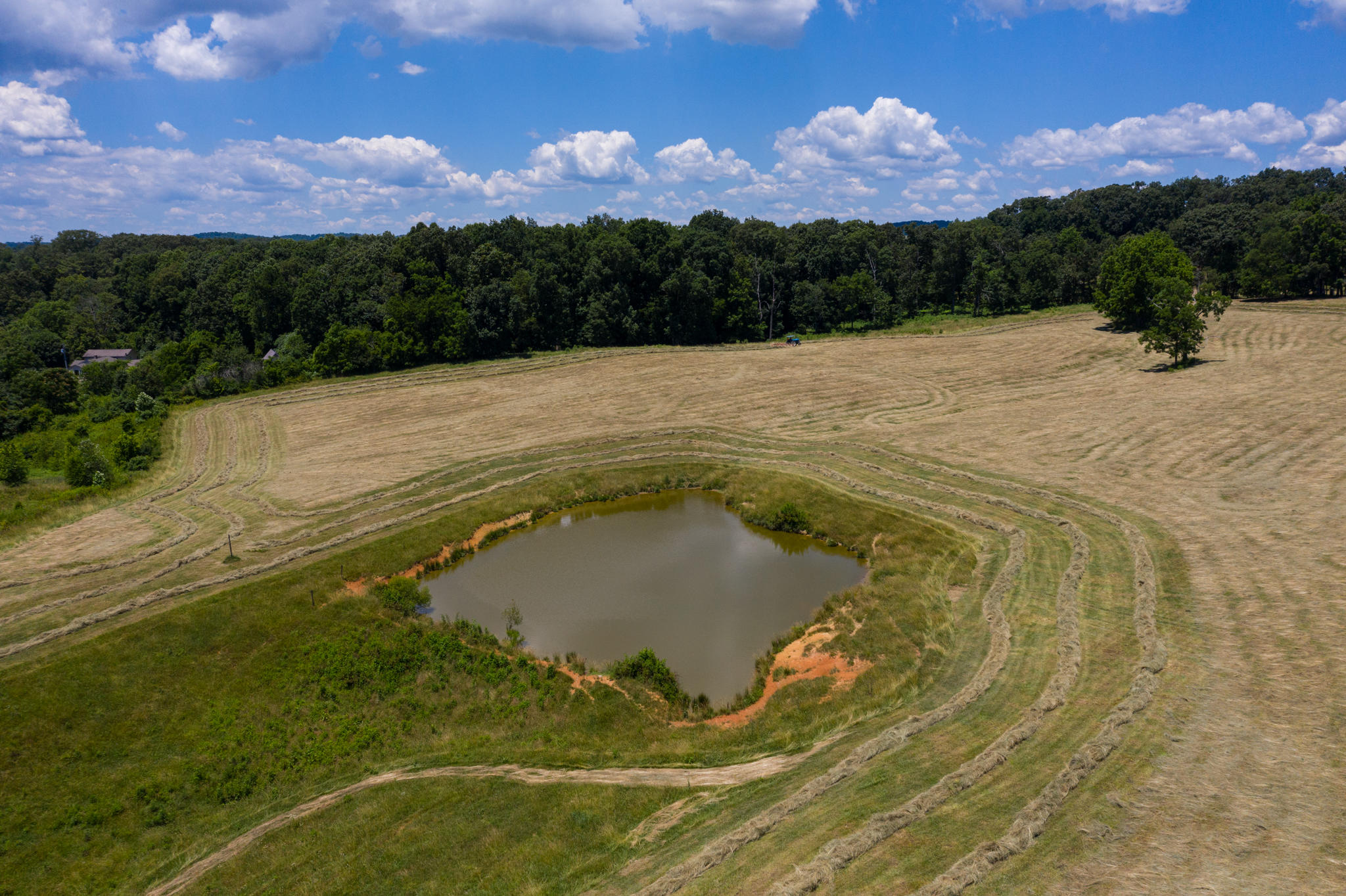 Parsonage Road Dandridge, TN 37725 - Photo 6 of 10 BG_AlleyWhitePine-26