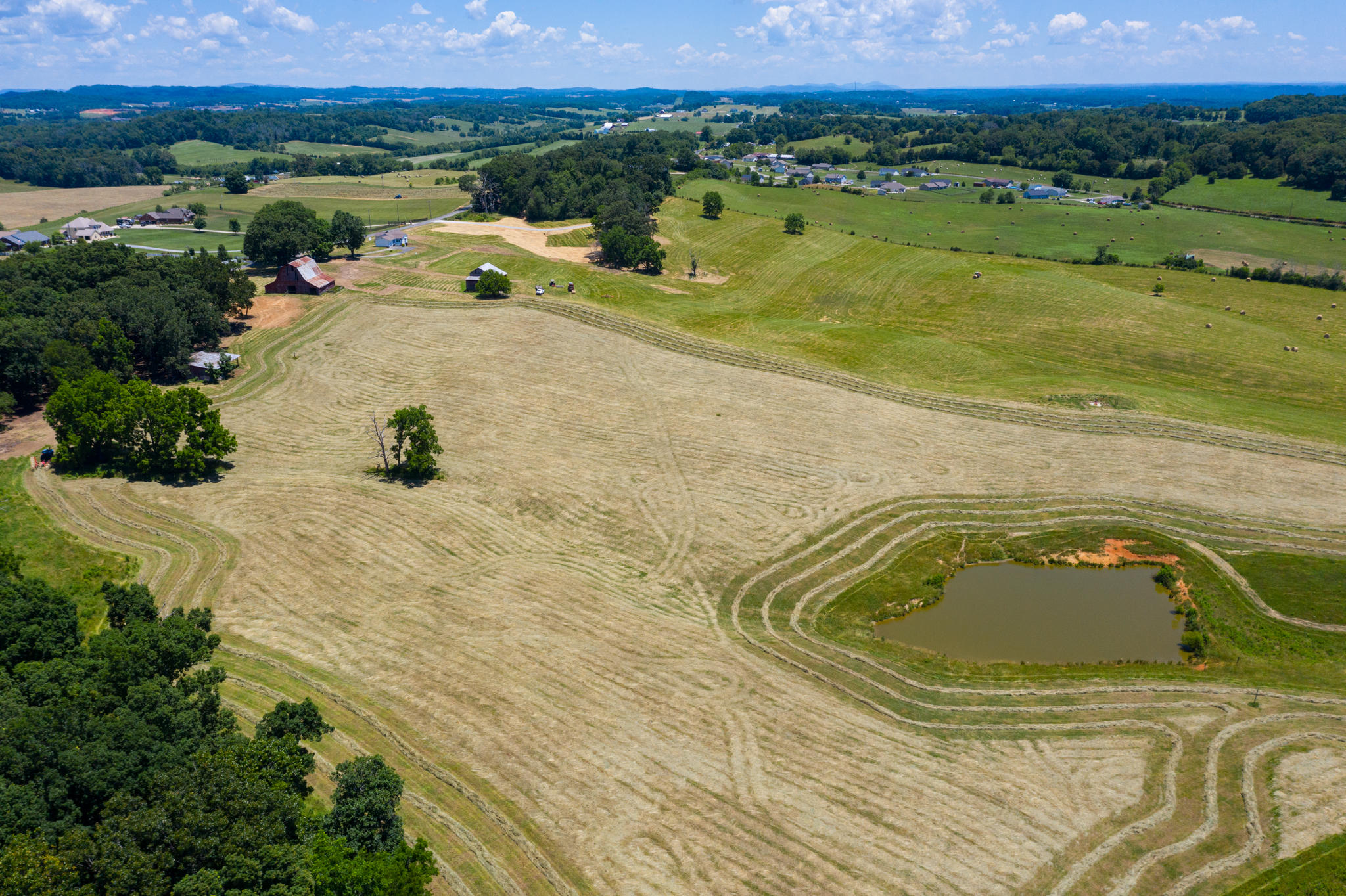 Parsonage Road Dandridge, TN 37725 - Photo 7 of 10 BG_AlleyWhitePine-27