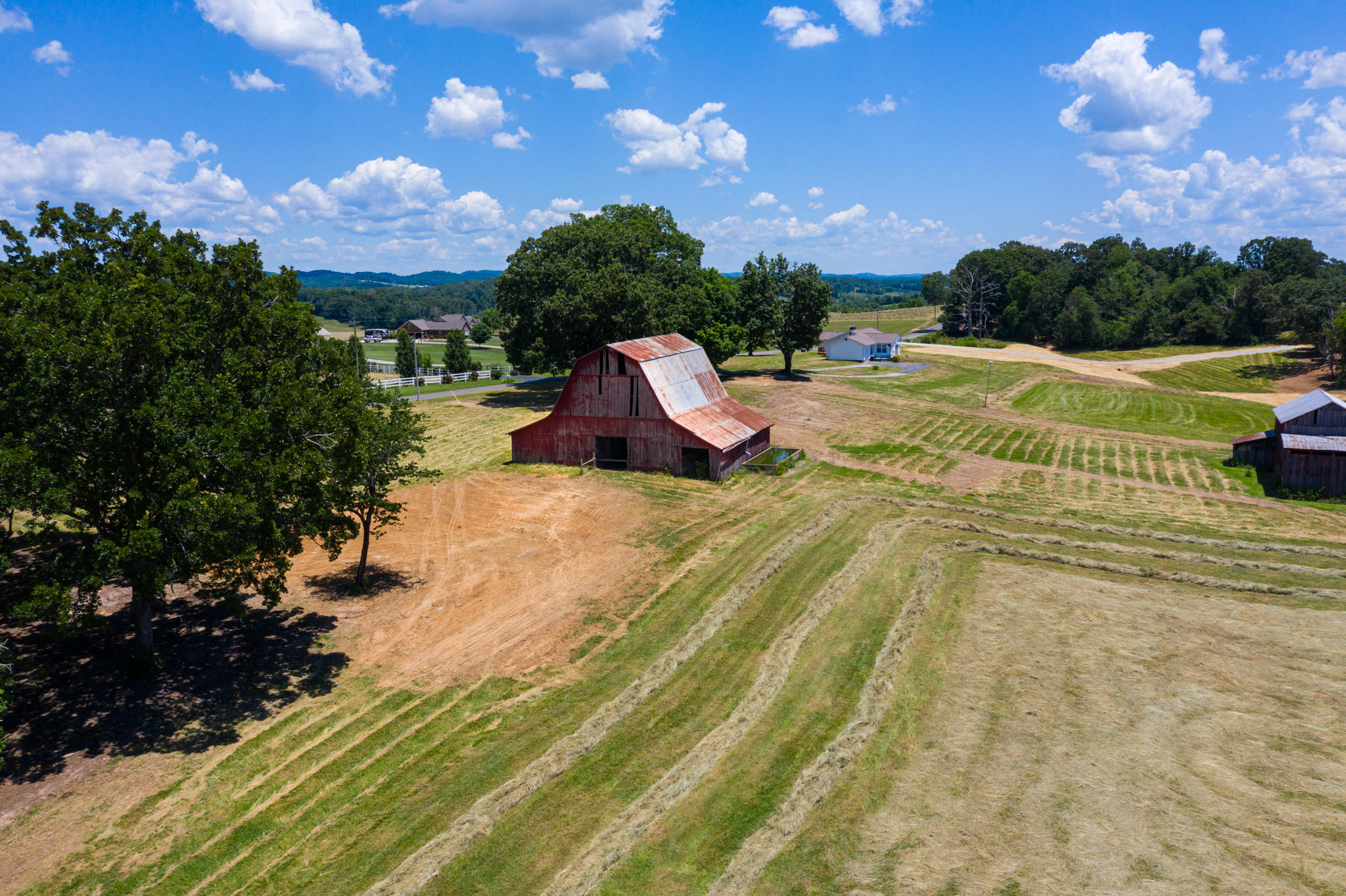 Parsonage Road Dandridge, TN 37725 - Photo 9 of 10 BG_AlleyWhitePine-30