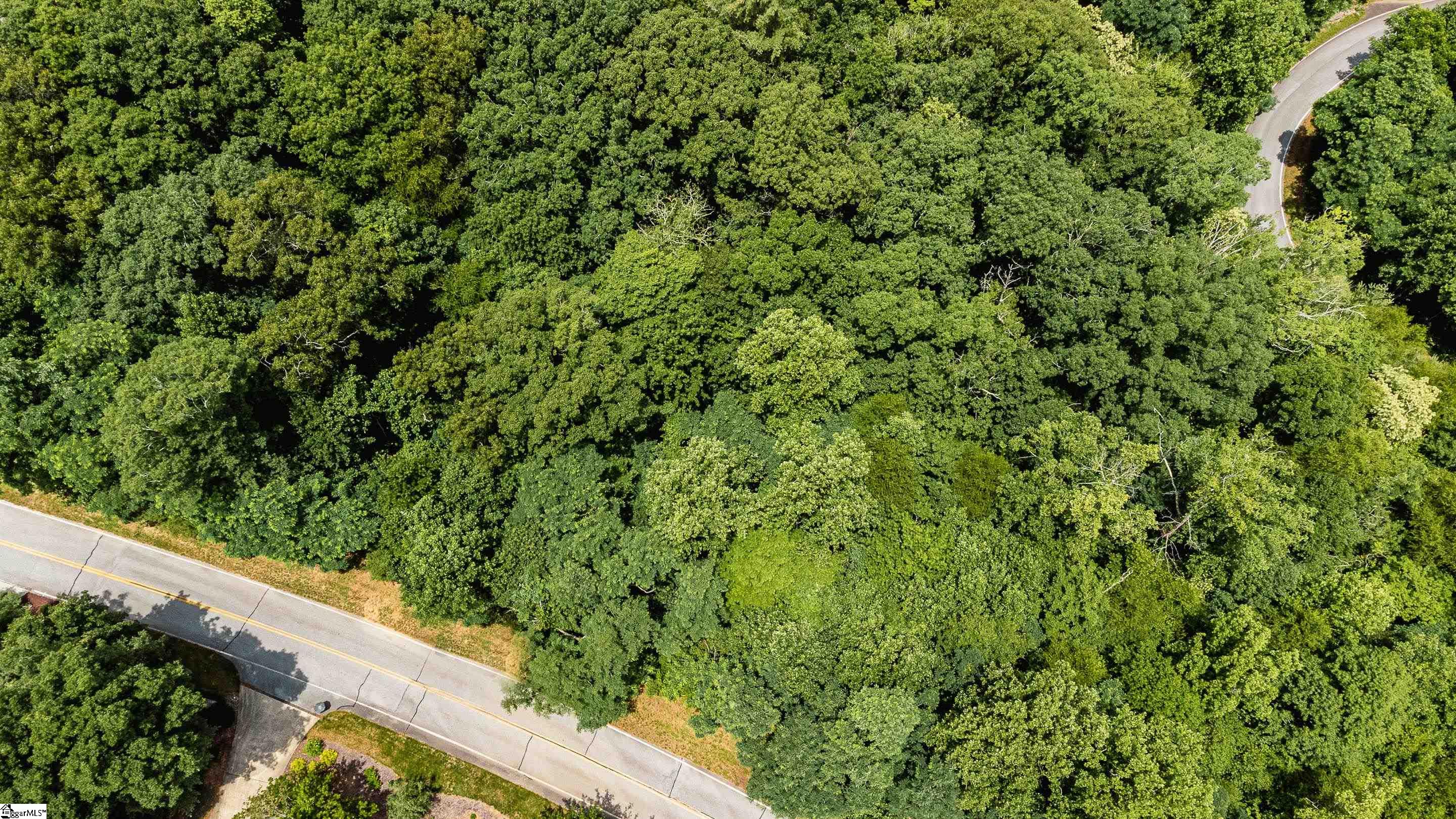 0 Yellowroot Lane Landrum, SC 29356 - Photo 1 of 3 Gallery Image 1