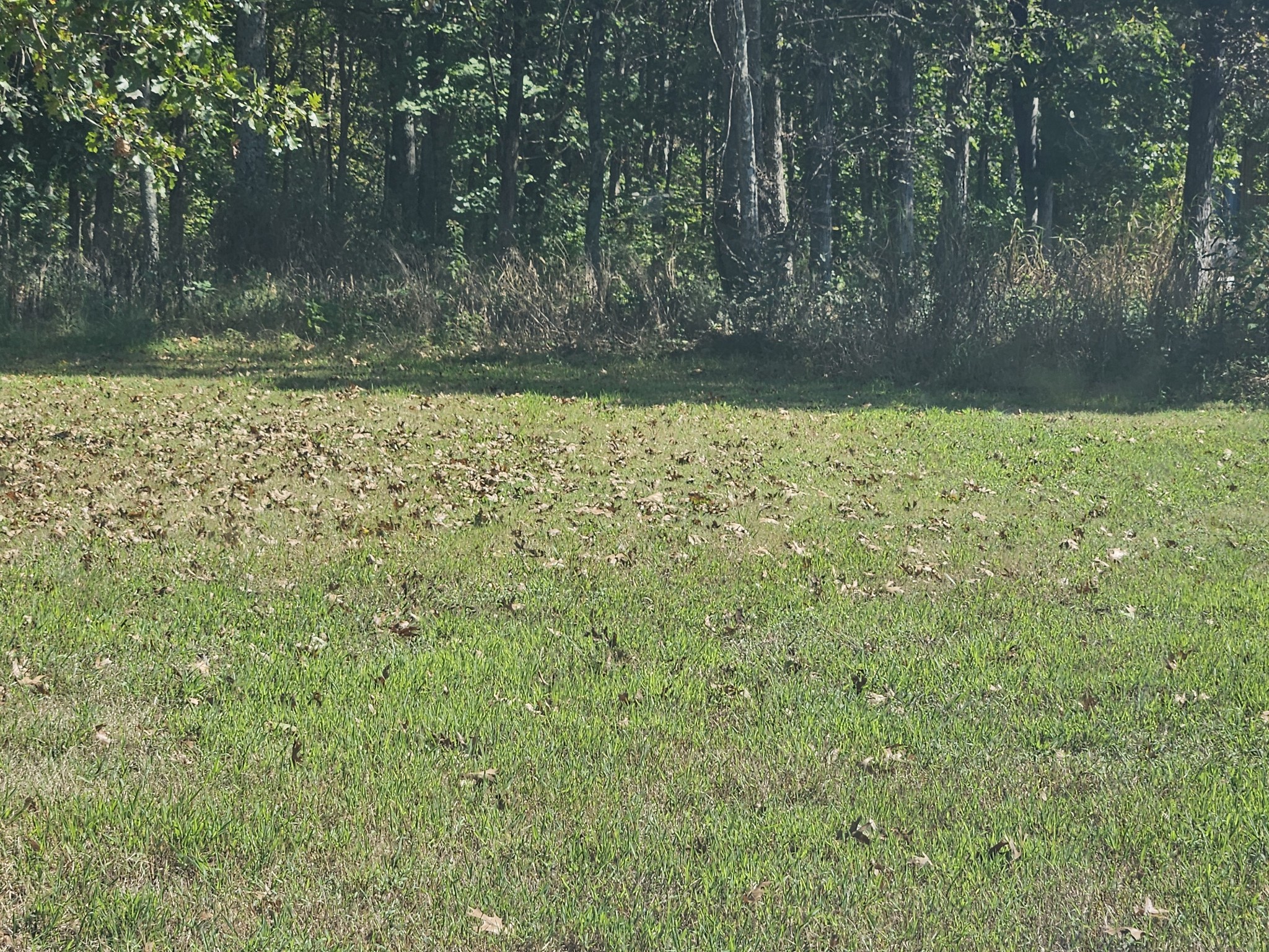 1631 Quarry Road Mount Juliet, TN 37122 - Photo 2 of 4 a view of a yard