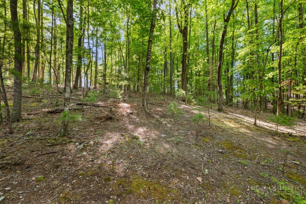 216 Saddle Lane Deep Gap, NC 28618 - Photo 29 of 44 a view of outdoor space and trees