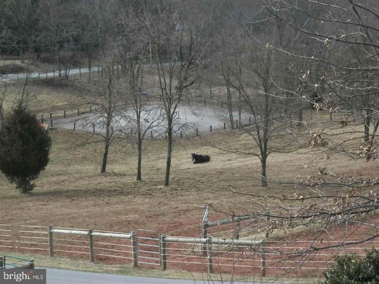 5764 Mountain Road Dover, PA 17315 - Photo 32 of 36