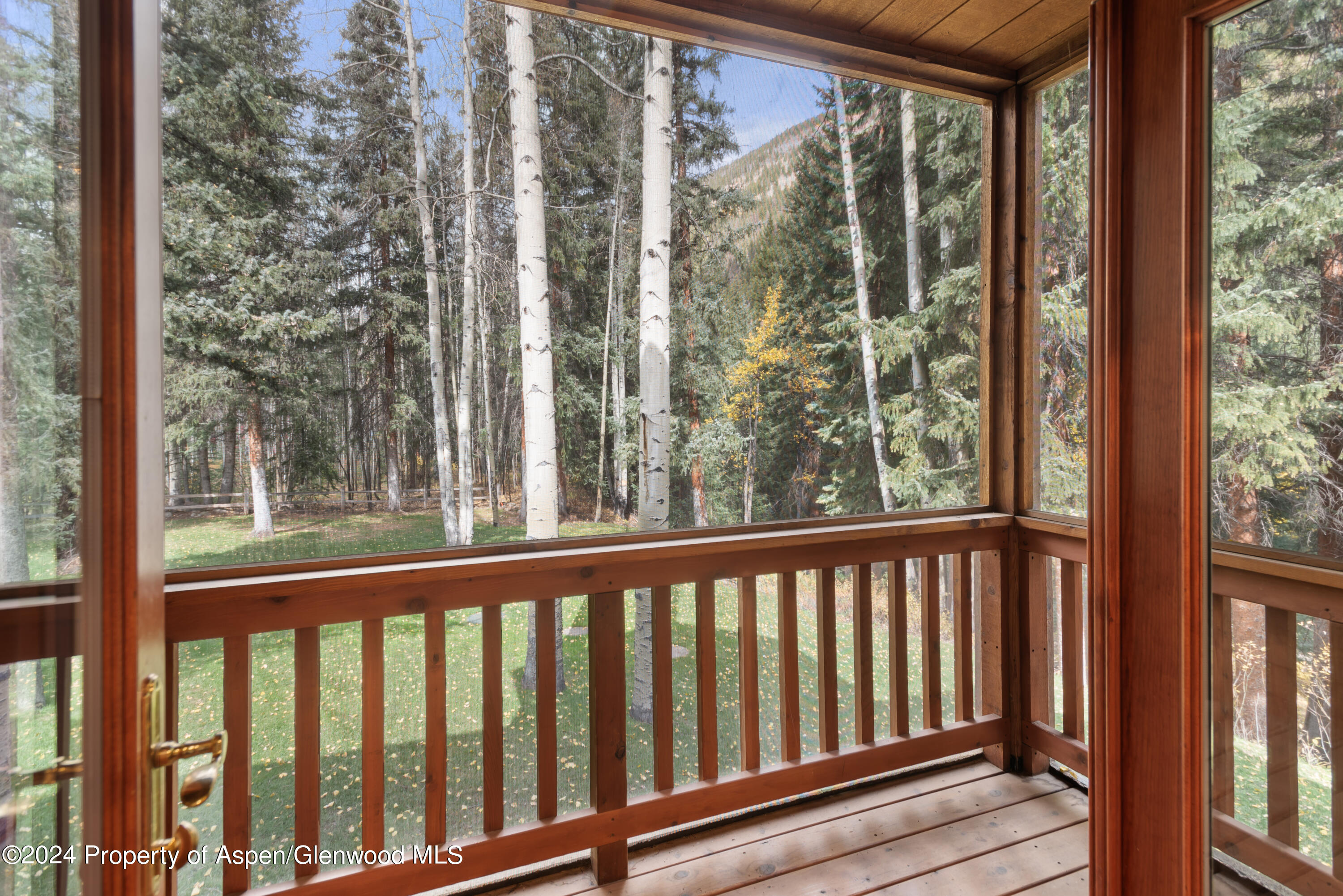 9676 Castle Creek Road Aspen, CO 81612 - Photo 15 of 24 9676CastleCreek_HiRes23101135