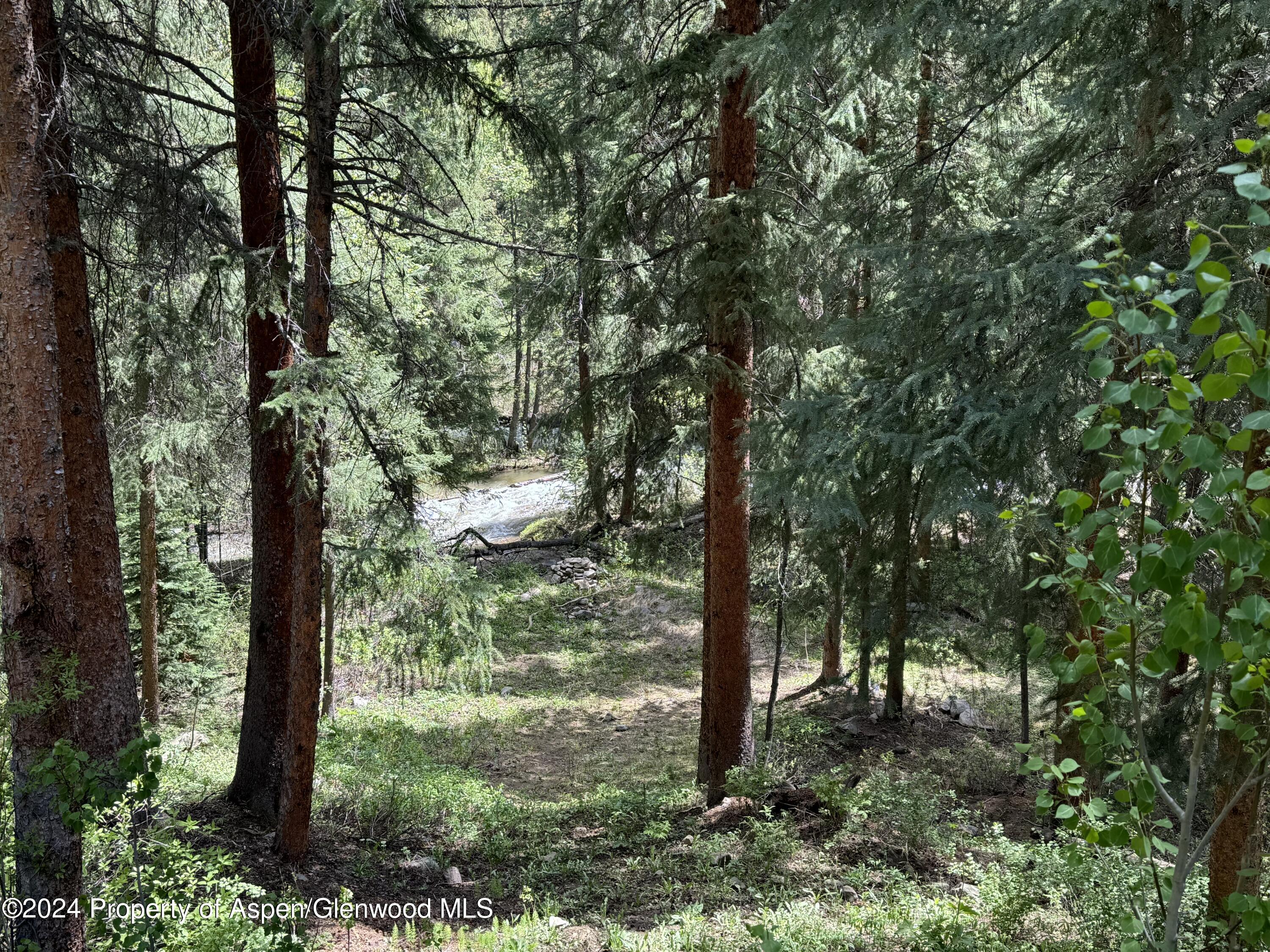 9676 Castle Creek Road Aspen, CO 81612 - Photo 24 of 24 IMG_7664