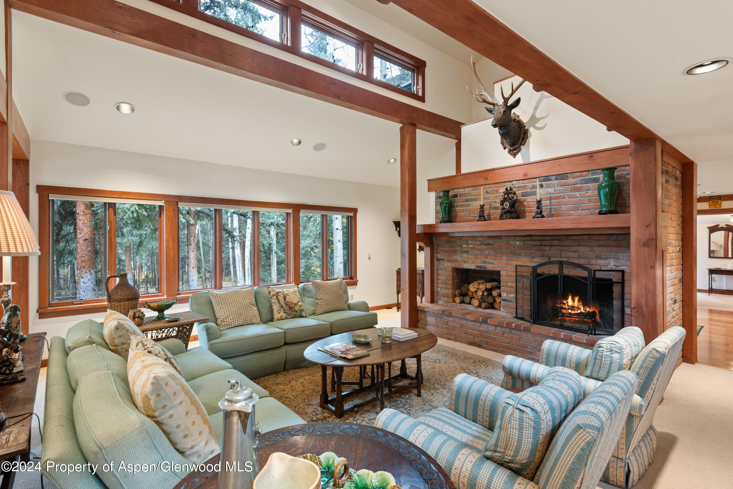 9676 Castle Creek Road Aspen, CO 81612 - Photo 10 of 24 9676CastleCreek_HiRes23101122