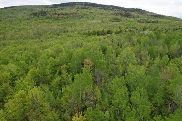 $89,000 | Lot 9 Final Drive, Kingfield, ME 04947