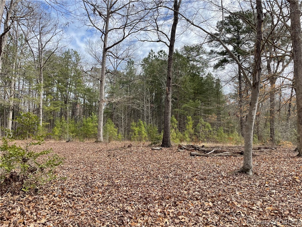 7886 Number 9 Road Gloucester, VA 23061 - Photo 2 of 6