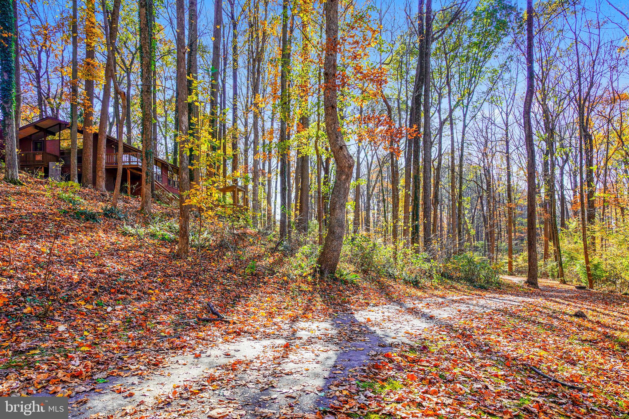 10993 Swansfield Road Columbia, MD 21044 - Photo 43 of 67 Walking path