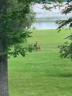 $379,000 | 45288 Walleye Lane, Deer River, MN 56636