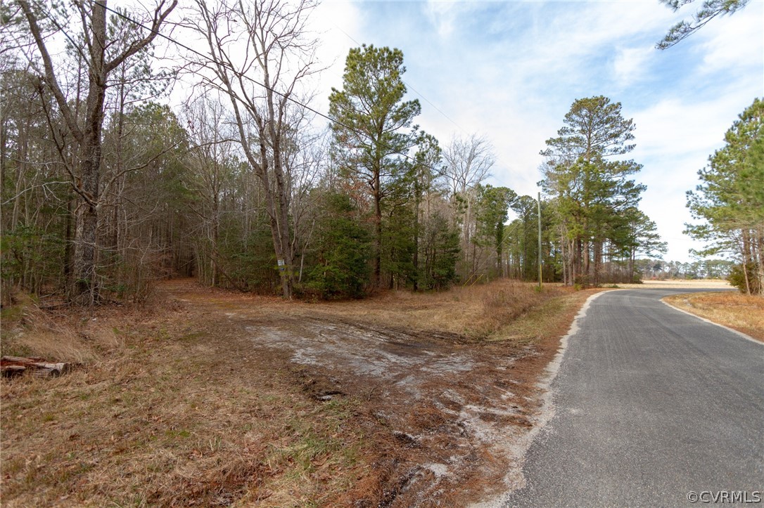 0 Vir-Mar Beach Road Heathsville, VA 22473 - Photo 18 of 21 a view of a yard with trees
