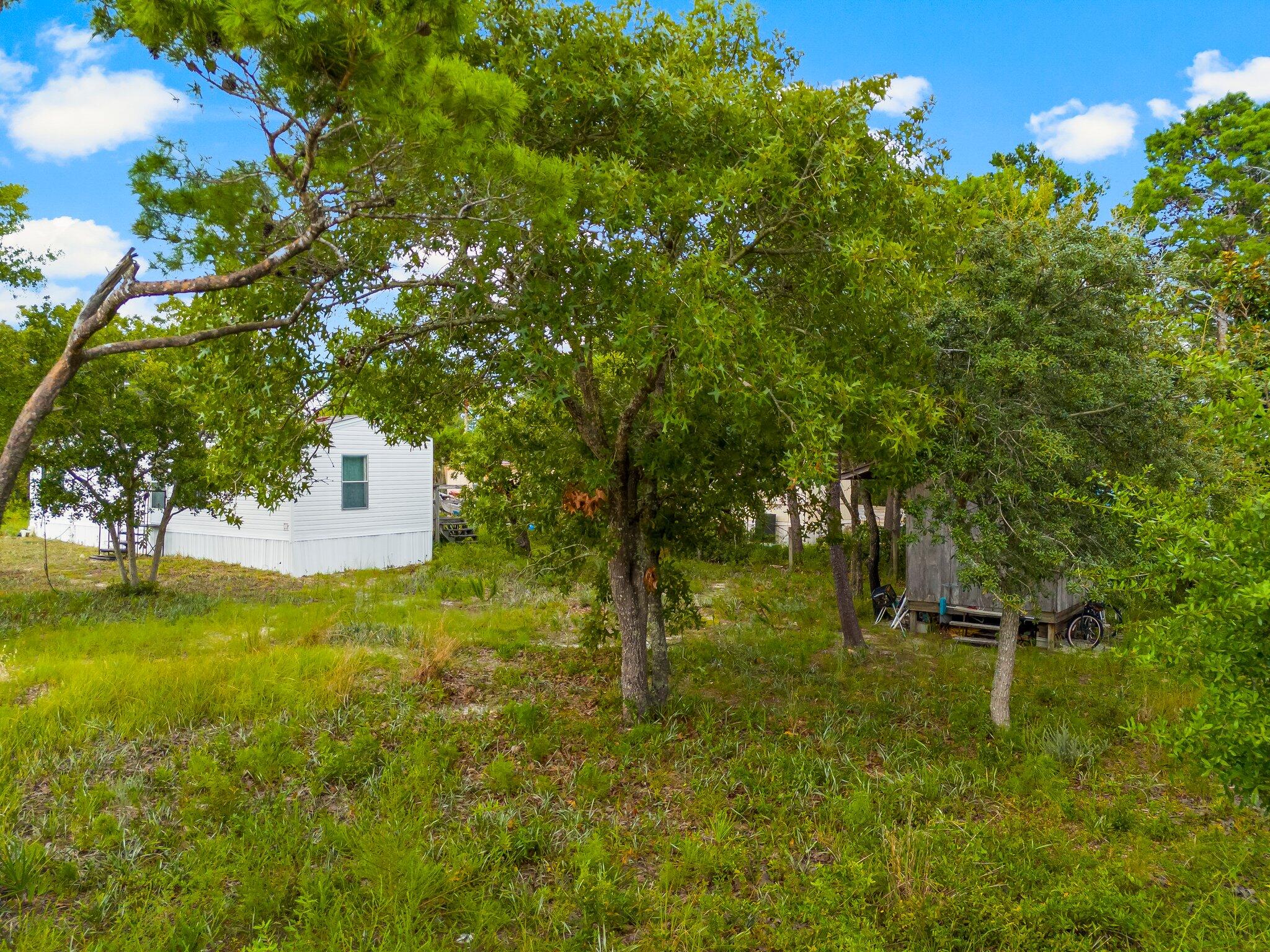 406 Walton Palm Road Inlet Beach, FL 32461 - Photo 7 of 12 a backyard of a house with lots of plants and tree
