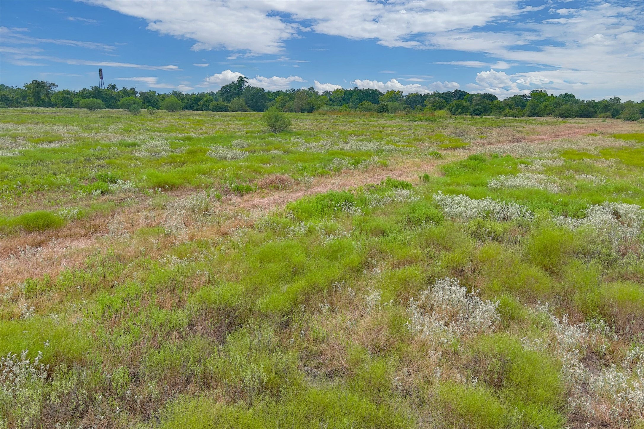 A A Battle Road Kendleton, TX 77417 - Photo 4 of 18 Gallery Image 4