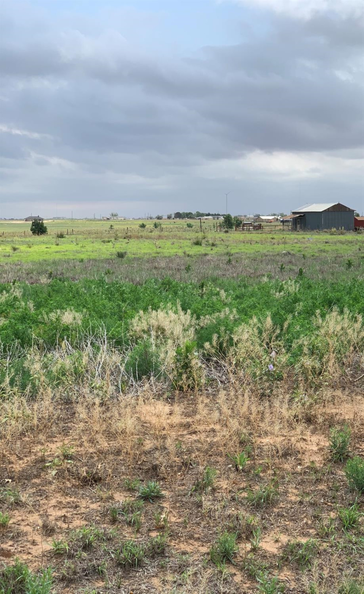172 Mason Road Lubbock, TX 79407 - Photo 8 of 8 Photo 8