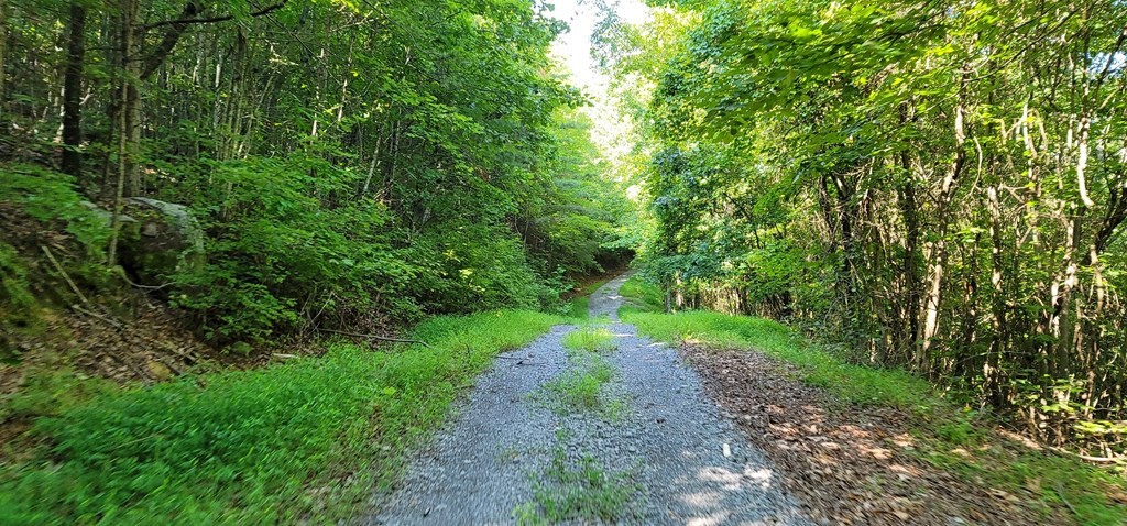0 Back Valley Road Dayton, TN 37321 - Photo 5 of 20