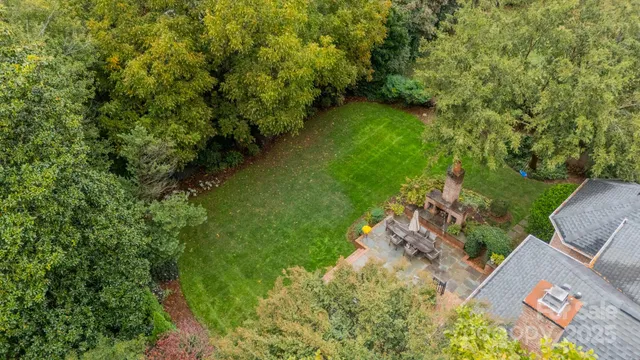 a view of a street that has a large tree
