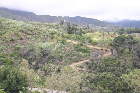 438 Conejo Road Santa Barbara, CA 93103 - Photo 9 of 13 a view of a lush green hillside and a houses