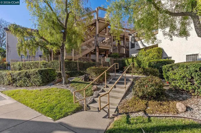 a view of a yard with plants and trees