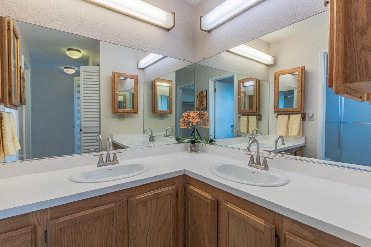 6959 Valle Pacifico Road Salinas, CA 93907 - Photo 22 of 45 a bathroom with a sink and a mirror