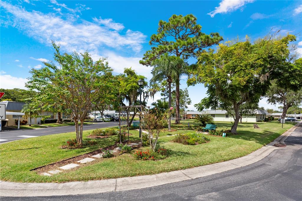 11730 Carissa Lane New Port Richey, FL 34654 - Photo 22 of 27