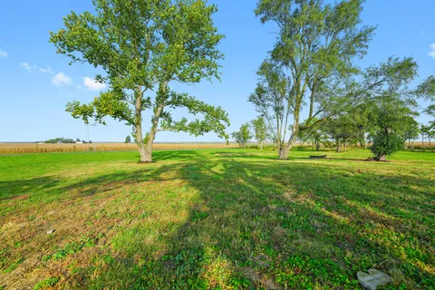a view of a trees with a big yard