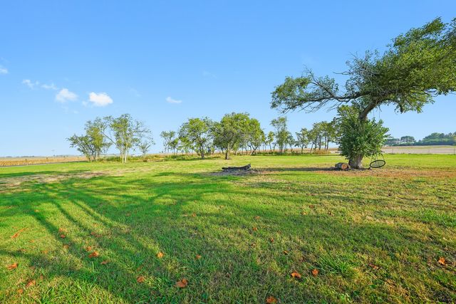 a view of a yard with a big yard