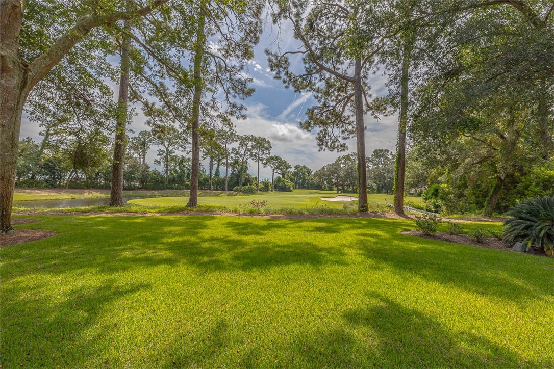 112 Cascades St. Simons Island, GA 31522 - Photo 3 of 66 Backyard