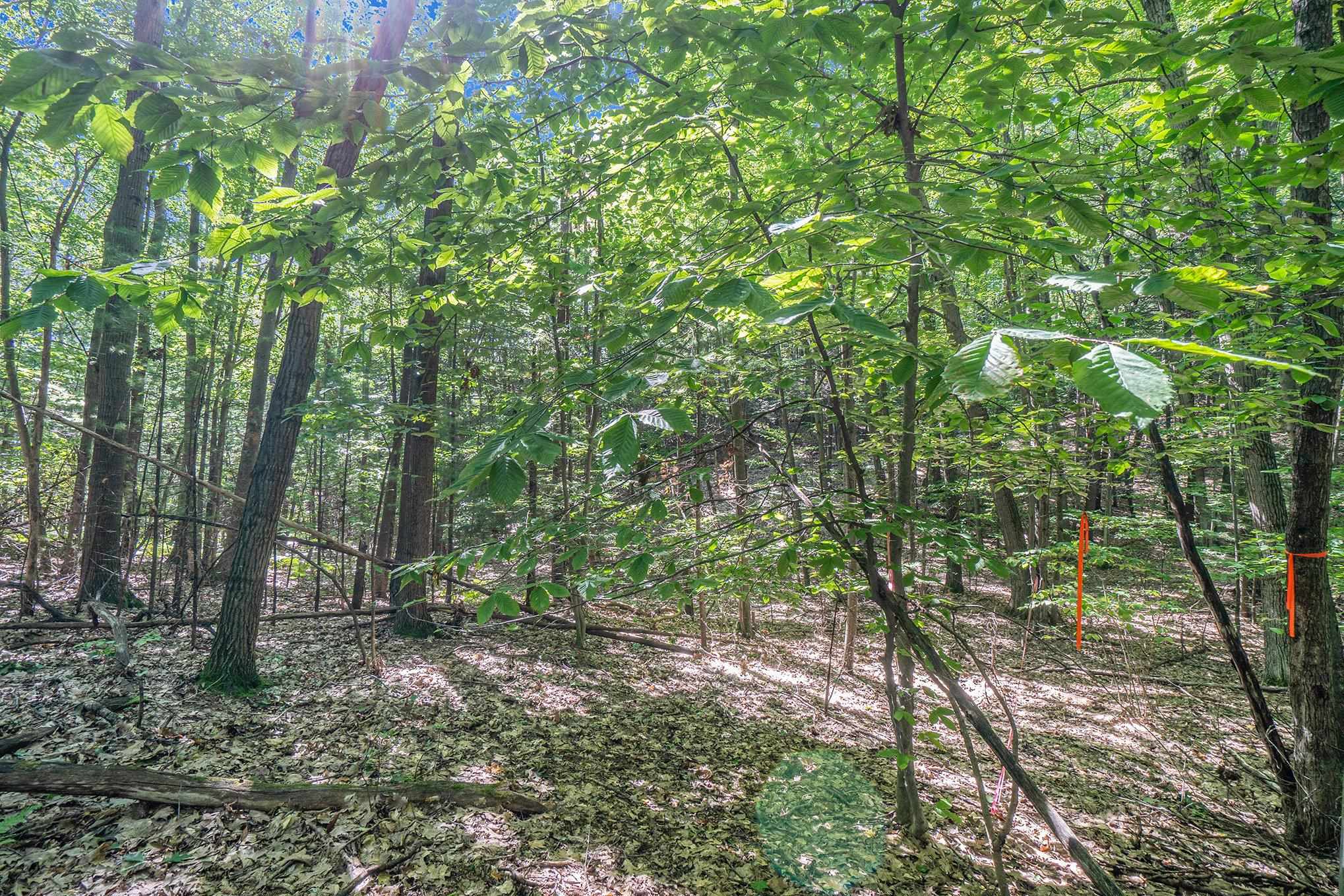 555 Hidden Ridge Drive Traverse City, MI 49686 - Photo 24 of 28