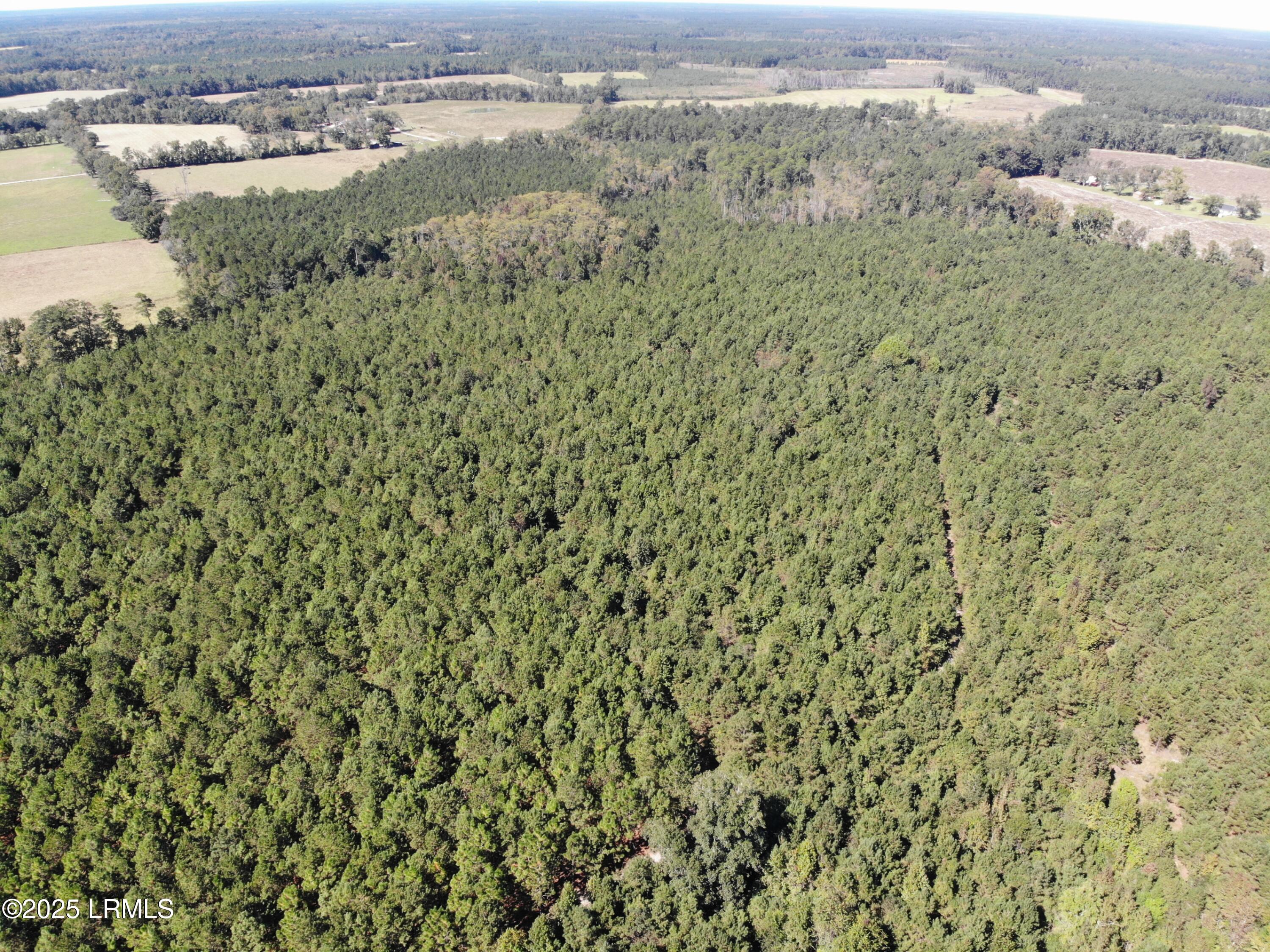 2443 Mt Pleasant Road Ehrhardt, SC 29081 - Photo 18 of 28 093AD9D5799D2494ADFC7BD302F373F5