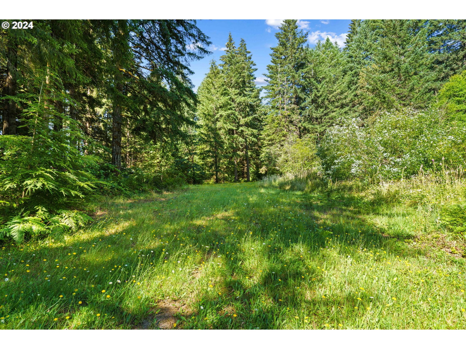 91183 Poodle Creek Road Noti, OR 97461 - Photo 7 of 27 Gallery Image 7