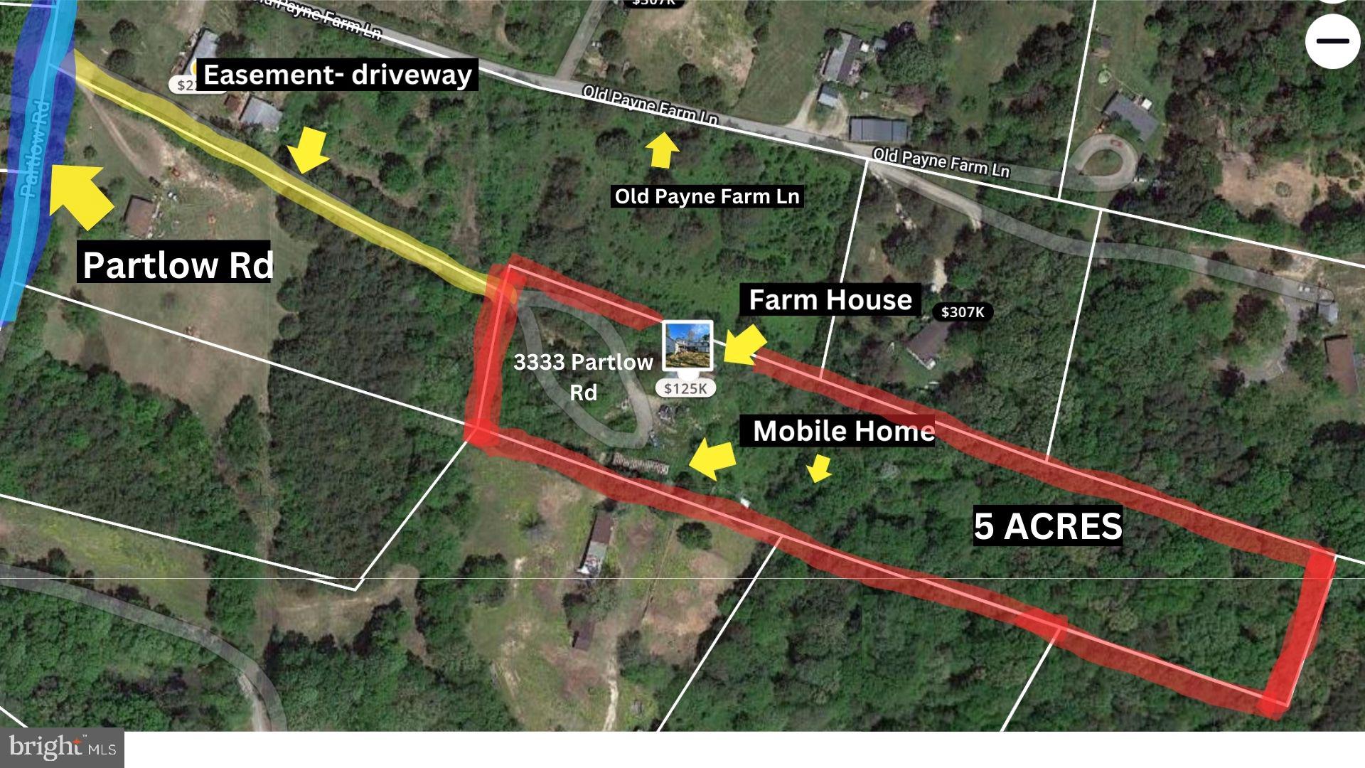 3333 Partlow Road Partlow, VA 22534 - Photo 3 of 11
