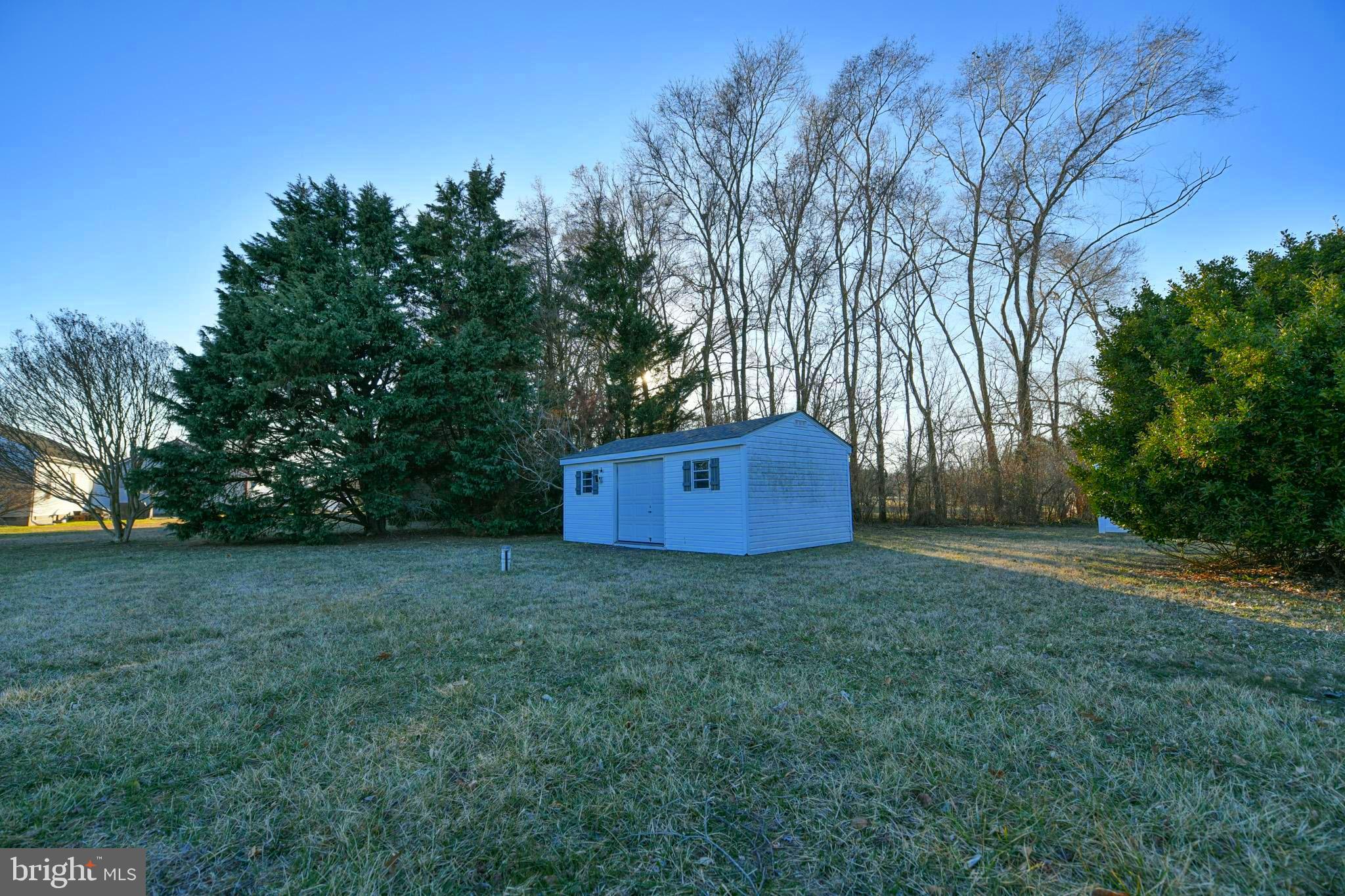11489 Reed Circle Ridgely, MD 21660 - Photo 44 of 46 a view of a big yard with large trees