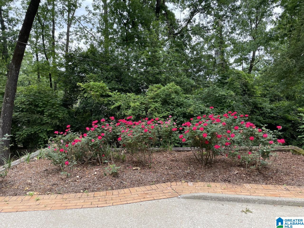 2814 Overton Road Birmingham, AL 35223 - Photo 53 of 53