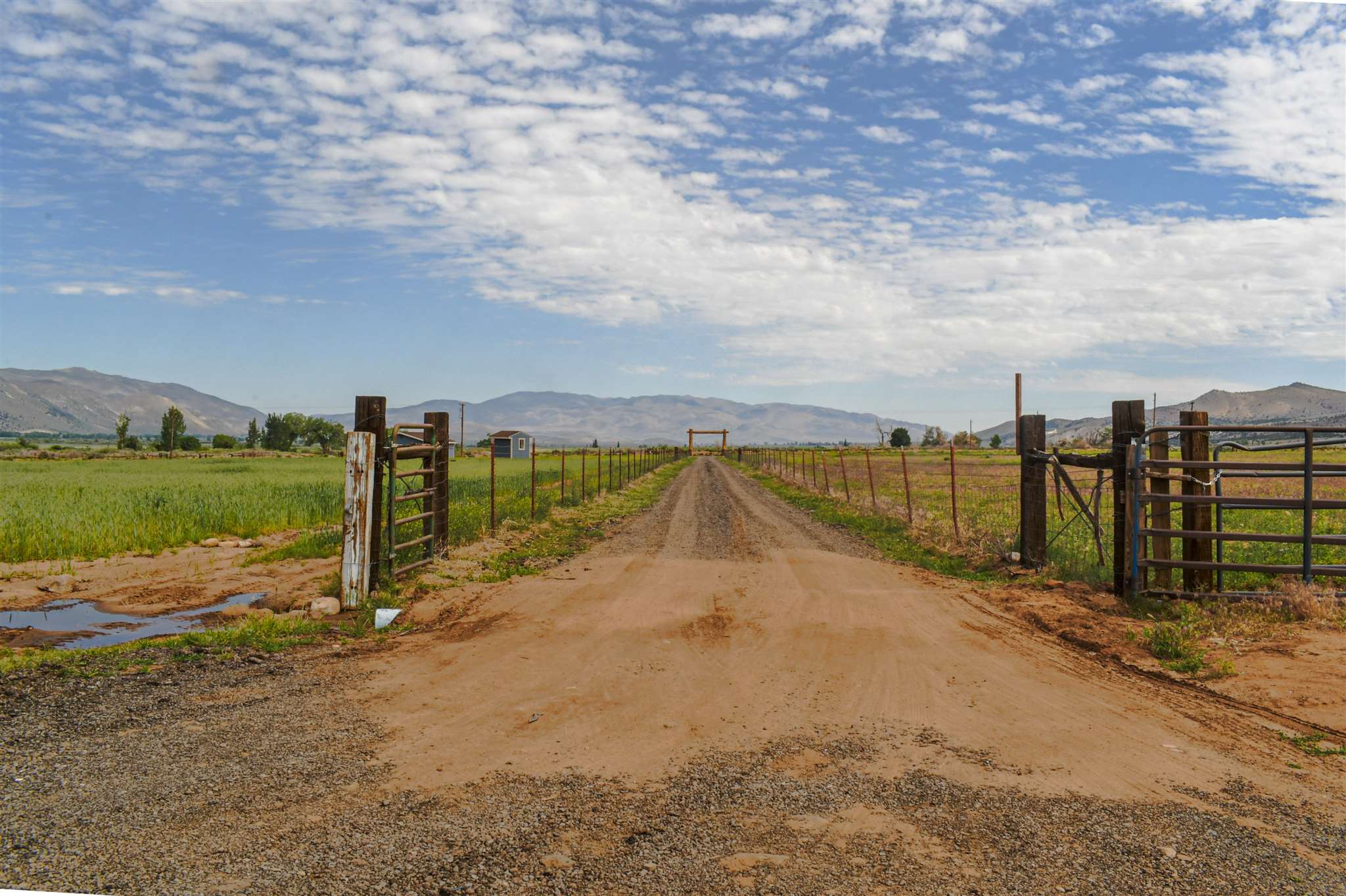1292 Larson Lane Coleville, CA 96107 - Photo 2 of 29