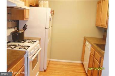 1441 Spring Road Northwest, Unit 202 Washington, DC 20010 - Photo 8 of 9 Kitchen