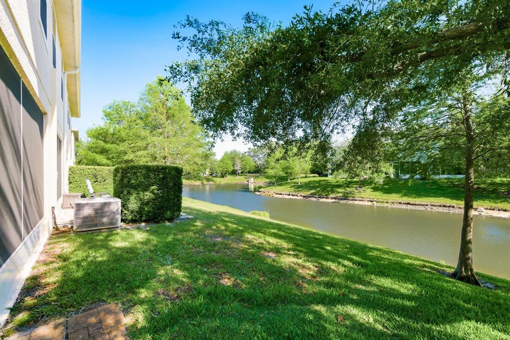 336 Harbor Ridge Drive Palm Harbor, FL 34683 - Photo 22 of 28