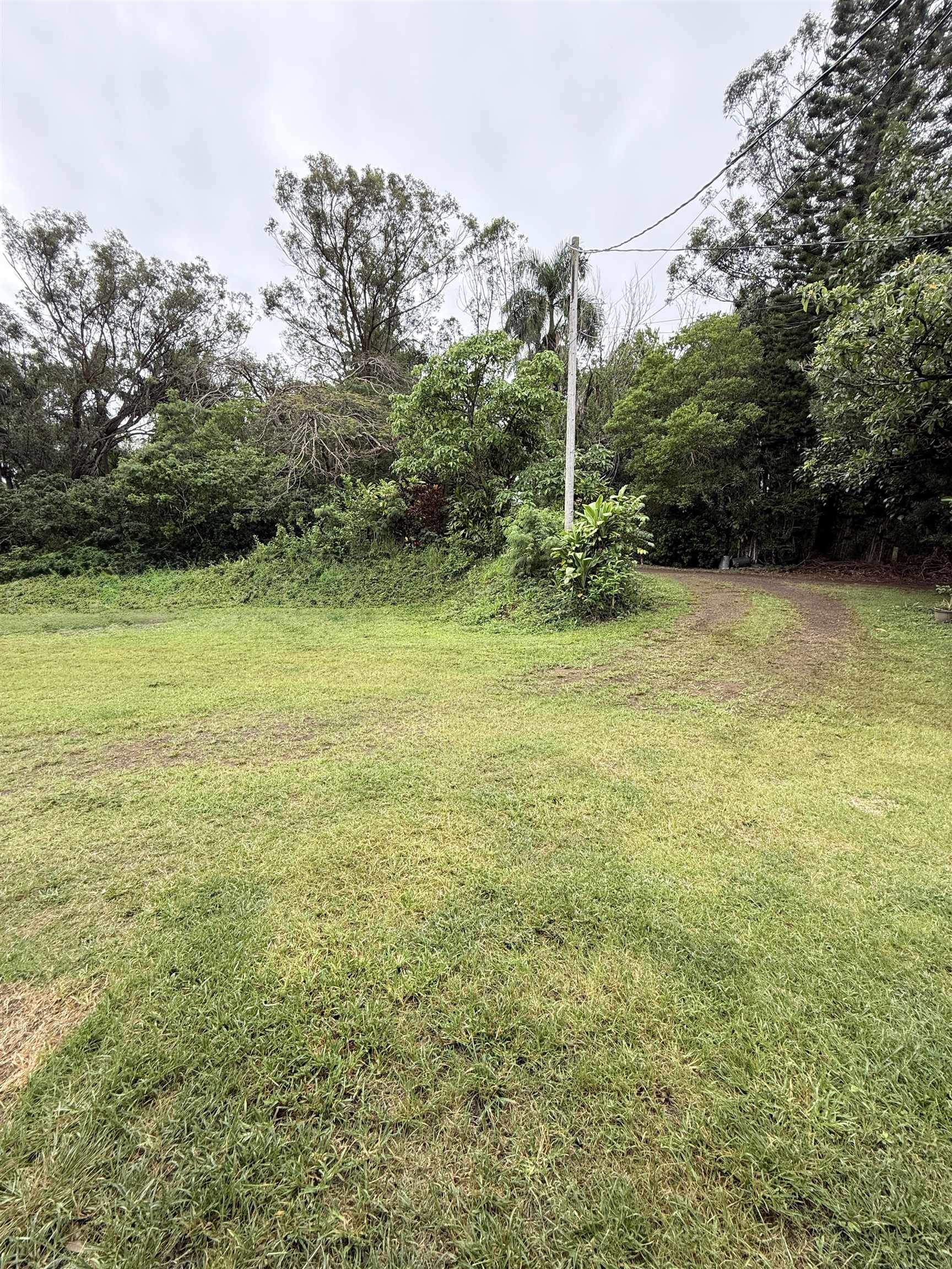580 A Lihau Place Haiku, HI 96708 - Photo 11 of 17 a view of a field with an trees