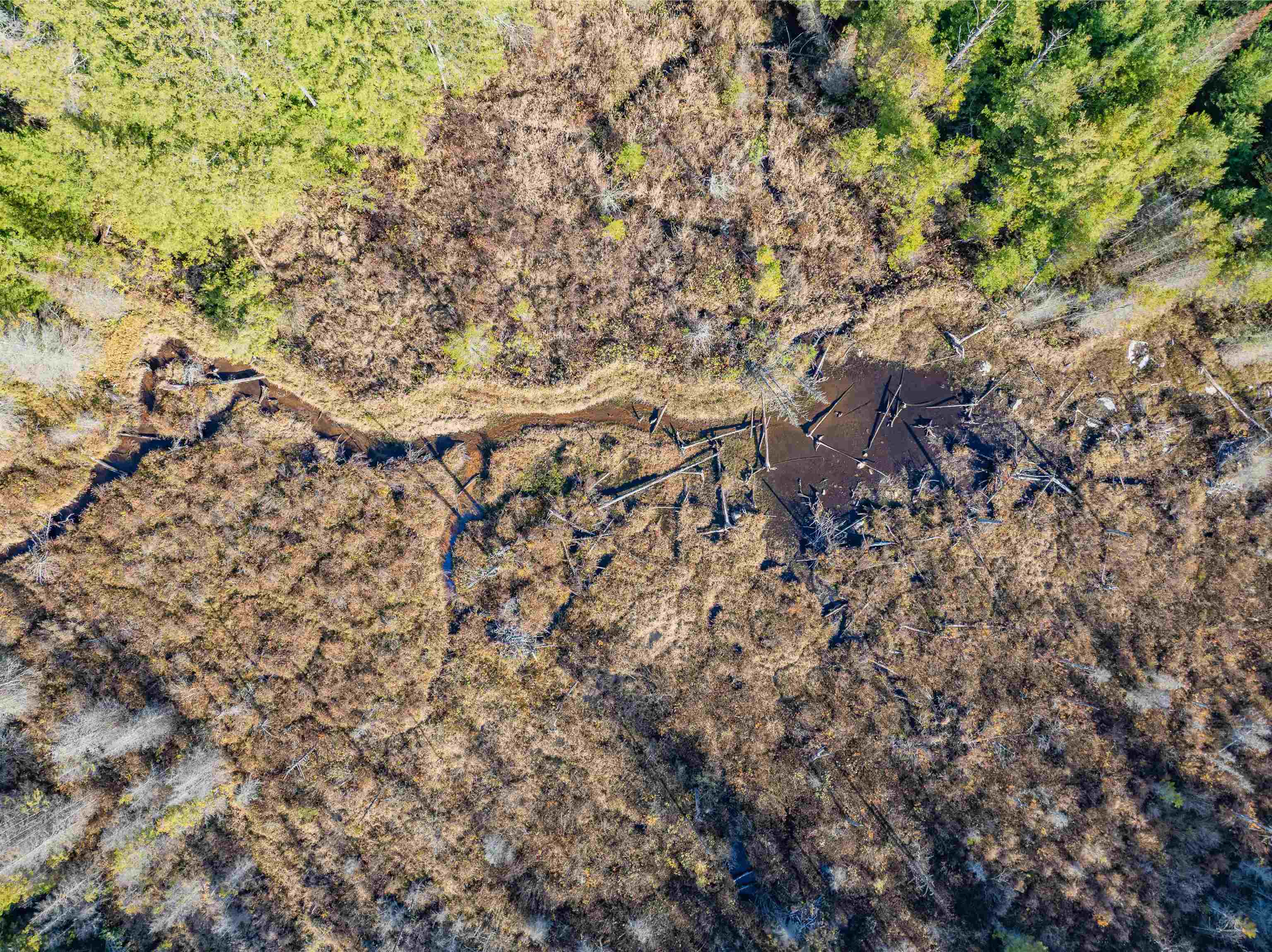 2100 Clay Hill Road Johnson, VT 05656 - Photo 5 of 15