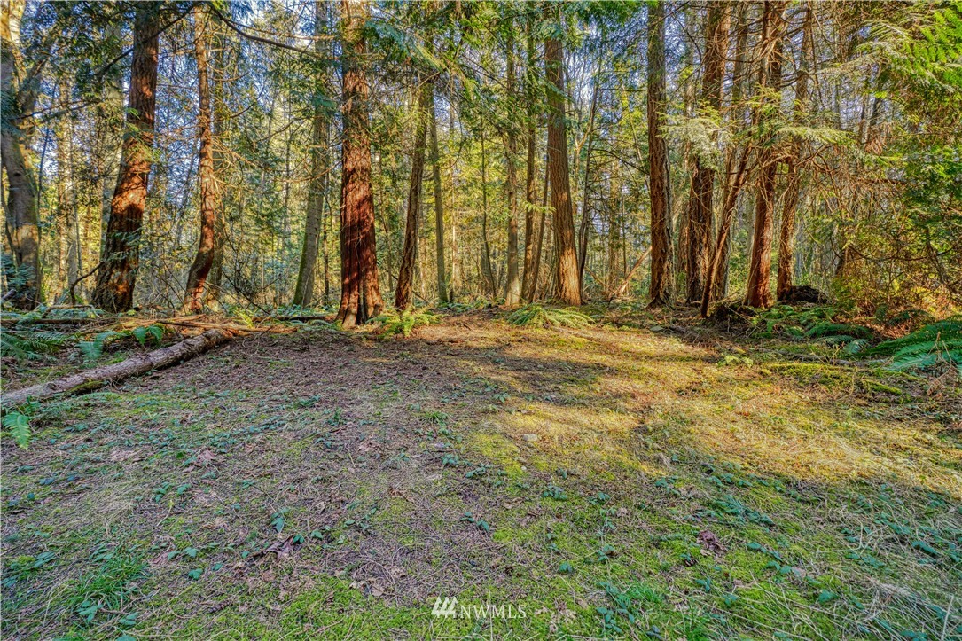 2 Deer Road Point Roberts, WA 98281 - Photo 1 of 7 a view of outdoor space with deck and trees