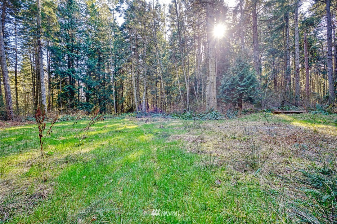 2 Deer Road Point Roberts, WA 98281 - Photo 3 of 7 a view of outdoor space with trees all around
