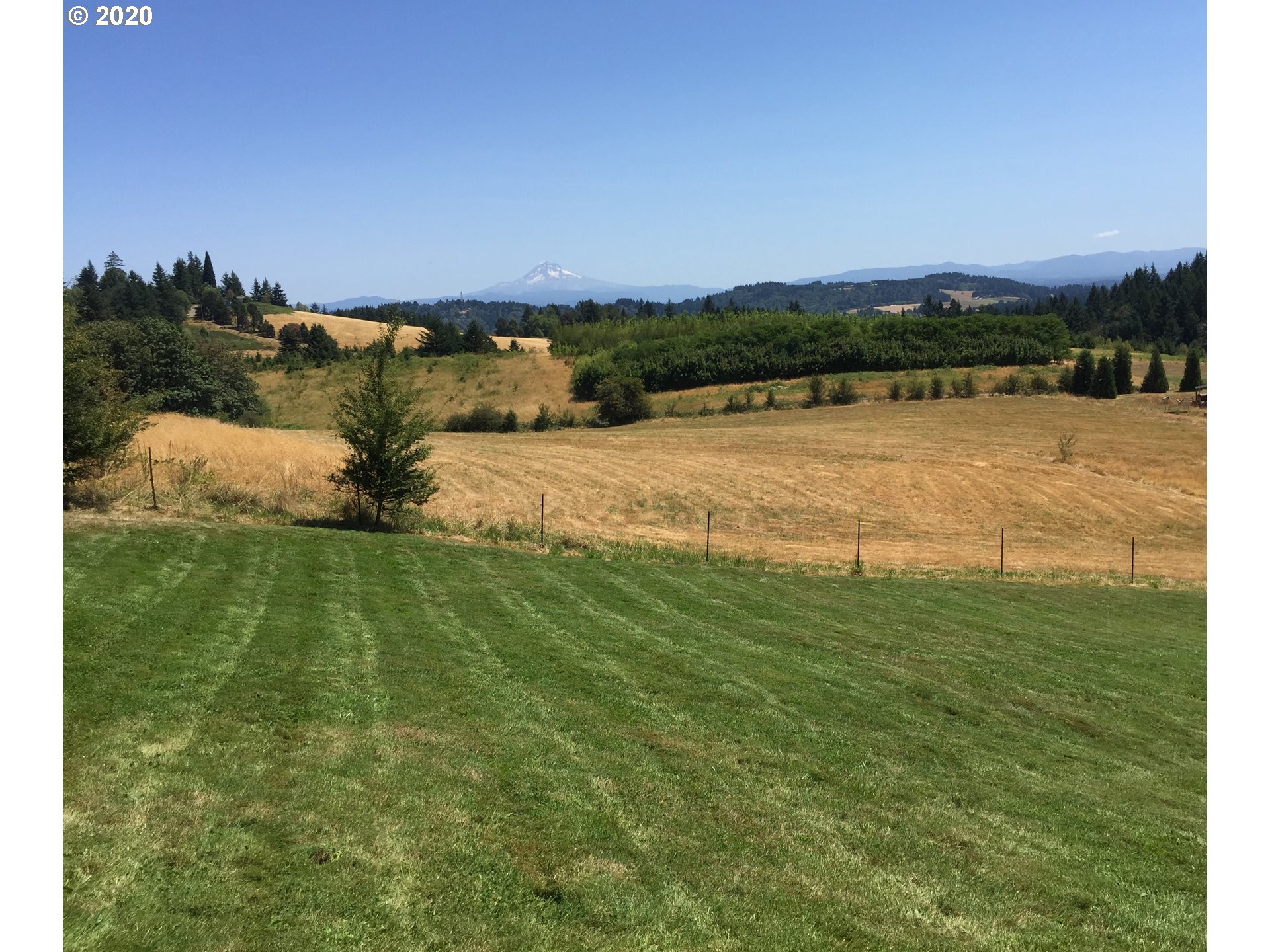 20665 Southeast Borges Road Damascus, OR 97089 - Photo 25 of 31